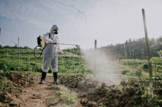Best Mosquito Control Services  in Hughesville, PA