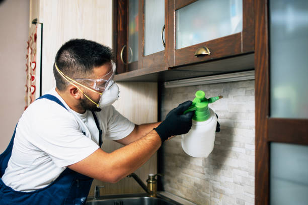 Best Pest Prevention Services  in Hughesville, PA