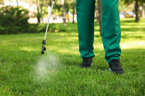 Best Insect Control  in Hughesville, PA