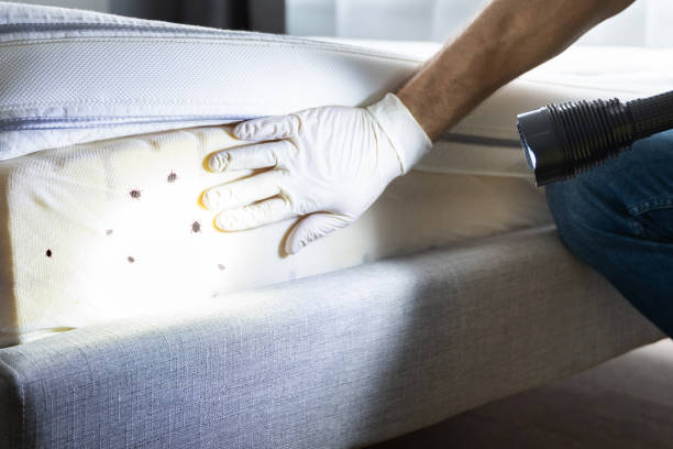 Best Emergency Pest Control  in Hughesville, PA