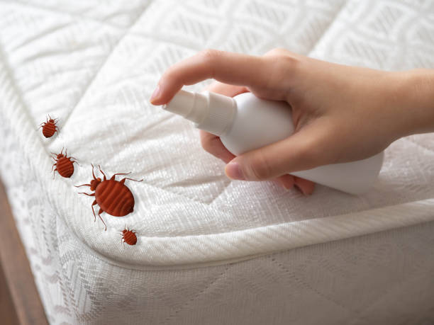 Best Pest Prevention Services  in Hughesville, PA