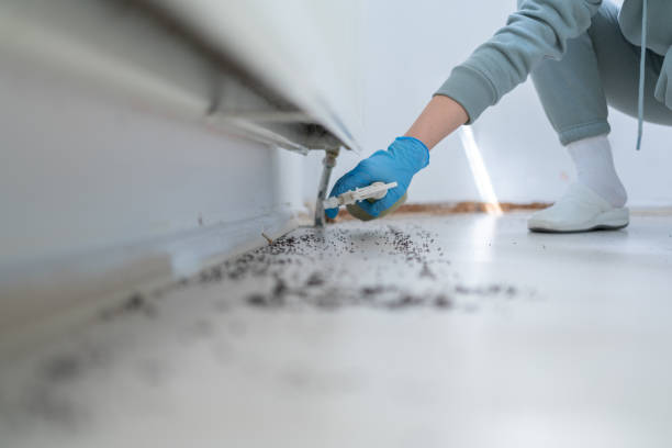 Best Residential Pest Control  in Hughesville, PA